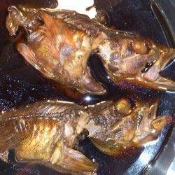 妻鹿沖波止　穴釣りでガシラ15〜22cm7尾！