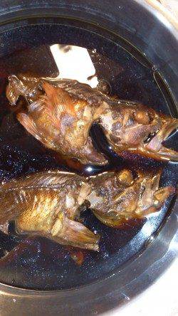 妻鹿沖波止　穴釣りでガシラ15〜22cm7尾！