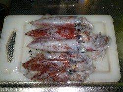 大蔵海岸　エギングでケンサキイカ22cm＆小型6パイ　浮き釣りで狙う方も