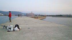 手作り仕掛けでキッシング、そこそこ数釣りが楽しめました！