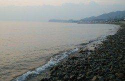 由良でキッシング、3時間足らずで22匹