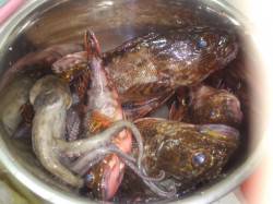 アジュール舞子、早朝からの探り釣りの釣果☆…