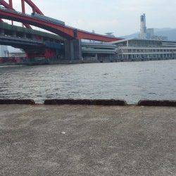 神戸港4,5,6,8防　タコジグでタコ3バイ　サビキのアジは入れ食い