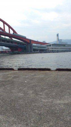 神戸港4,5,6,8防　タコジグでタコ3バイ　サビキのアジは入れ食い