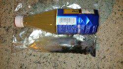 加太漁港でエギング、ケンサキの釣果