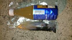 加太漁港でエギング、ケンサキの釣果