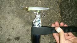 【タチウオのシーズンです】兵突でワインド、…