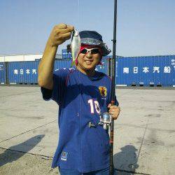 大阪南港アジ狙いで来たらコノシロ爆釣！