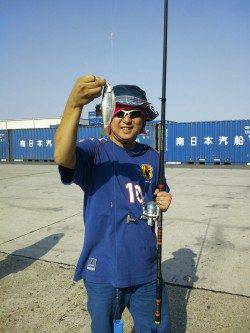 大阪南港アジ狙いで来たらコノシロ爆釣！