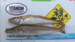 洲本投げキス、ライトタックルで引釣りの醍醐味堪能♪　