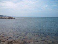 二人でキス50〜60匹の数釣り楽しめました♪