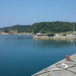 有田漁港　メタルジグにイトヒキアジ　小型のシオ・カンパチの姿も