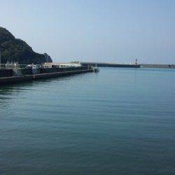 串本有田漁港　エギングでアオリイカ3バイ　小学生3人のキッズ釣果☆