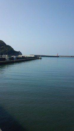 串本有田漁港　エギングでアオリイカ3バイ　小学生3人のキッズ釣果☆