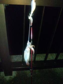 アジュール舞子でエギング、23時頃よりアタ…