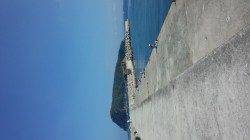 初島漁港　メタルジグでカマス14尾　ジグヘッド＋ワームには反応無し