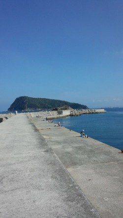 初島漁港　メタルジグでカマス14尾　ジグヘッド＋ワームには反応無し