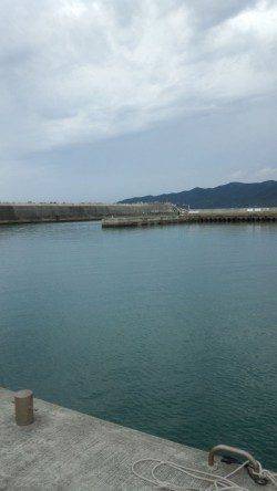 濱ノ瀬漁港　16:00～17:30のエギングでアオリの新子　サイズはこれからに期待