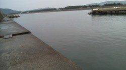 濱ノ瀬漁港　5gのジグでカマスがヒット　小雨の降る中の釣行