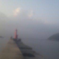 沼島でのませ釣り＆カゴ釣りの釣果☆