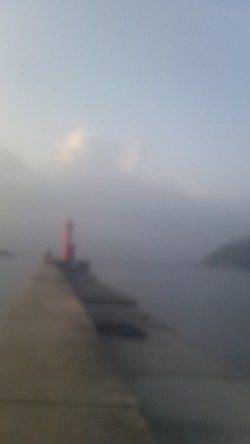 沼島でのませ釣り＆カゴ釣りの釣果☆