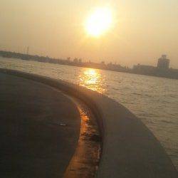 淀川河口でマハゼ・キビレの釣果