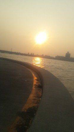 淀川河口でマハゼ・キビレの釣果