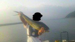 沼島でのませ釣り＆カゴ釣りの釣果☆