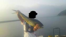 沼島でのませ釣り＆カゴ釣りの釣果☆