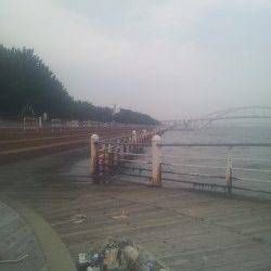 舞洲でサビキからののませ釣り、これからに期待です