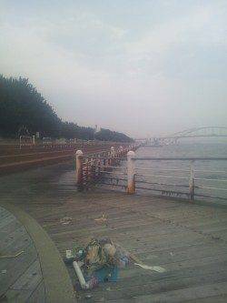 舞洲でサビキからののませ釣り、これからに期待です