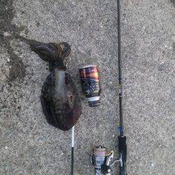 〜新タックルに墨づけ〜上野漁港へアオリイカ狙い