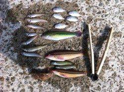 福良湾で早朝からの投げ釣り釣果☆