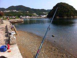 福良湾で早朝からの投げ釣り釣果☆