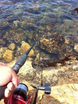 阿那賀での穴釣りの釣果