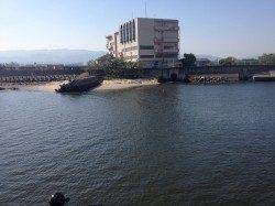 音海大波止、のませでブリが一匹釣れました