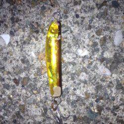 神戸７防　小型ジグ使用のアジングでアジ5匹