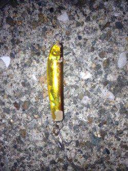 神戸７防　小型ジグ使用のアジングでアジ5匹