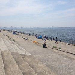 南芦屋浜での穴釣り釣果