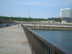 アジュールワンドで最大で30㎝のサヨリやアジの釣果