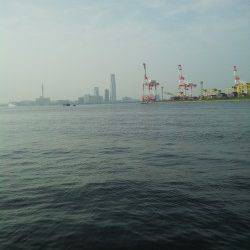 舞洲、サビキでアジ&カマス・タコジグでタコの釣果☆