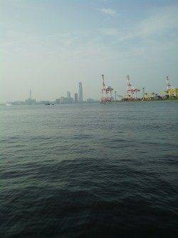 舞洲、サビキでアジ&カマス・タコジグでタコの釣果☆