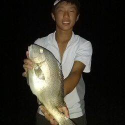 見草漁港　投げ釣りでコロダイ・メンドリ・ヒラスズキなど8目釣り！