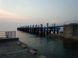 シモツピアーランドでカゴ釣り、立派なチヌ44cm！