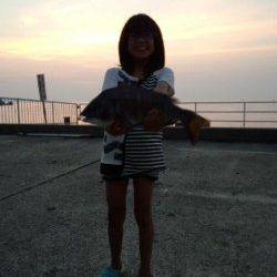 シモツピアーランドでカゴ釣り、立派なチヌ44cm！