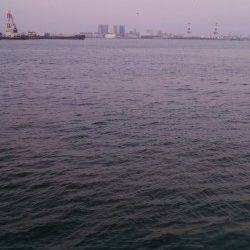 神戸港4,5,6,8防　夕方のジグサビキは苦戦