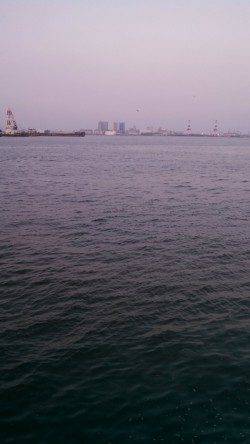 神戸港4,5,6,8防　夕方のジグサビキは苦戦