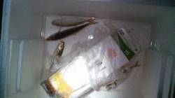 神戸港4,5,6,8防　夕方のジグサビキは…