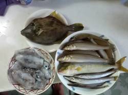 ソルトルアー全般、深夜～翌日夕方までの釣果…