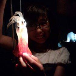 アジュール舞子～西舞子　ファミリーでのエギングでケンサキ計25ハイの満足釣果